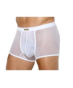 fotos de visita la tienda de arjen kroos arjen kroos boxer para hombre pantalones cortos transparentes ropa interior malla boxershorts sexy calzoncillos para hombre